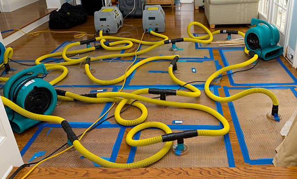 Professional Basement Flood Cleanup technician working in Worthington, OH